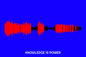 Knowledge Is Power Waveform Print